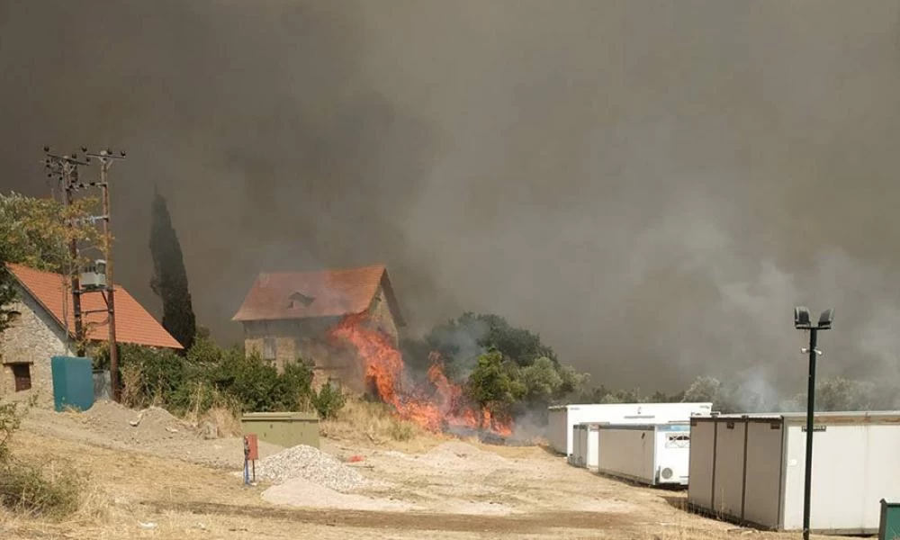 Νίκος Βασιλείου για το Τατόι: Το κτήμα έχει καεί ολοσχερώς